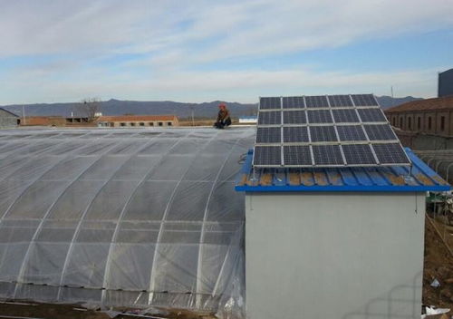 从泥土到芯片 日光温室大棚里的太阳能发电与智能控制技术