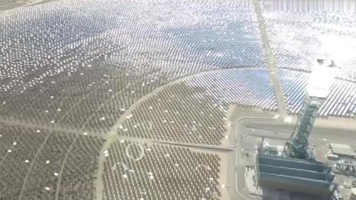 全球最大太阳能发电站 为14万家庭供电，却成鸟类坟地
